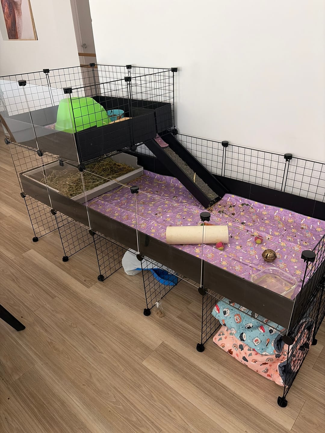 Customer photo review of Ozzy Cages 2x5 C&C Enclosure - Clear Sided - Black