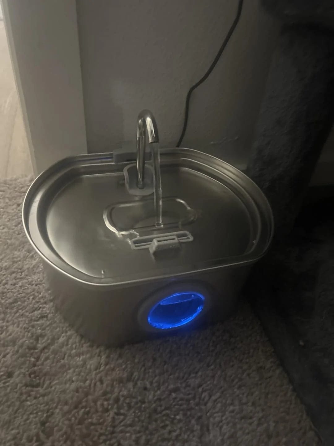 Customer photo review of Purecat Bron UV 4 L