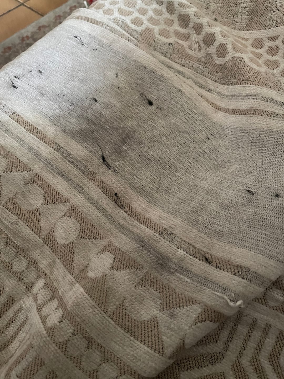 Customer photo review of Pet Couch Cover - Modern Mosaic Beige