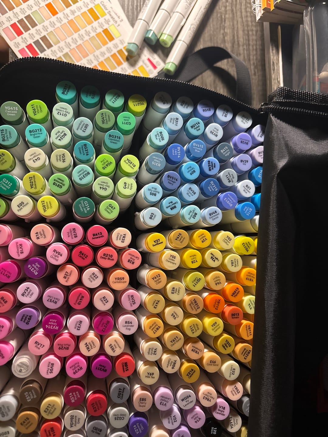 Customer photo review of Ohuhu Honolulu 216 Colors Dual Tips Alcohol Art Markers (New Color Codes)