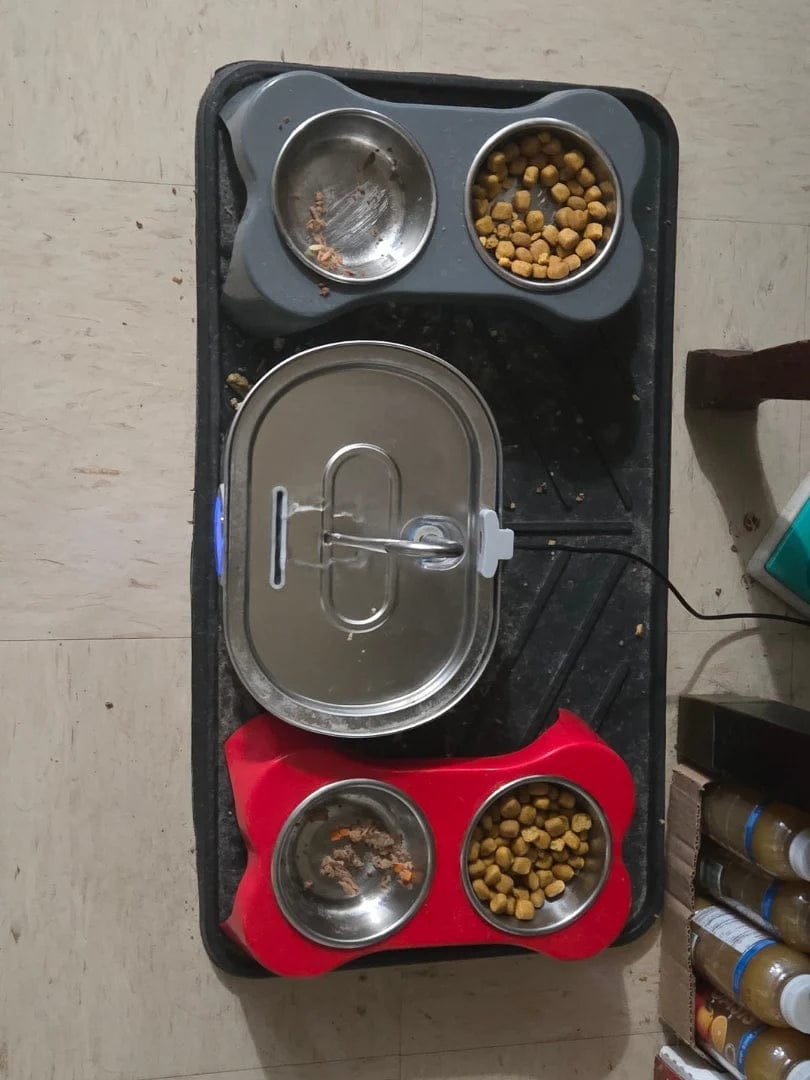 Customer photo review of Purecat Bron UV 4 L