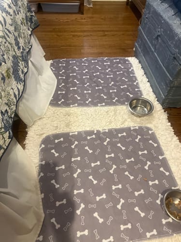 Dos tapetes SniffPad en la recámara, junto a los platos de agua y comida del perro