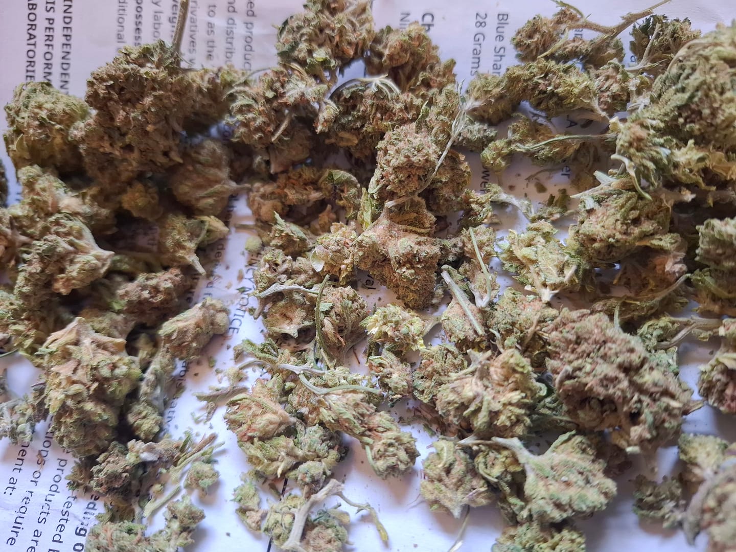 Customer photo review of Cheap Indoor THCA Flower Ounce