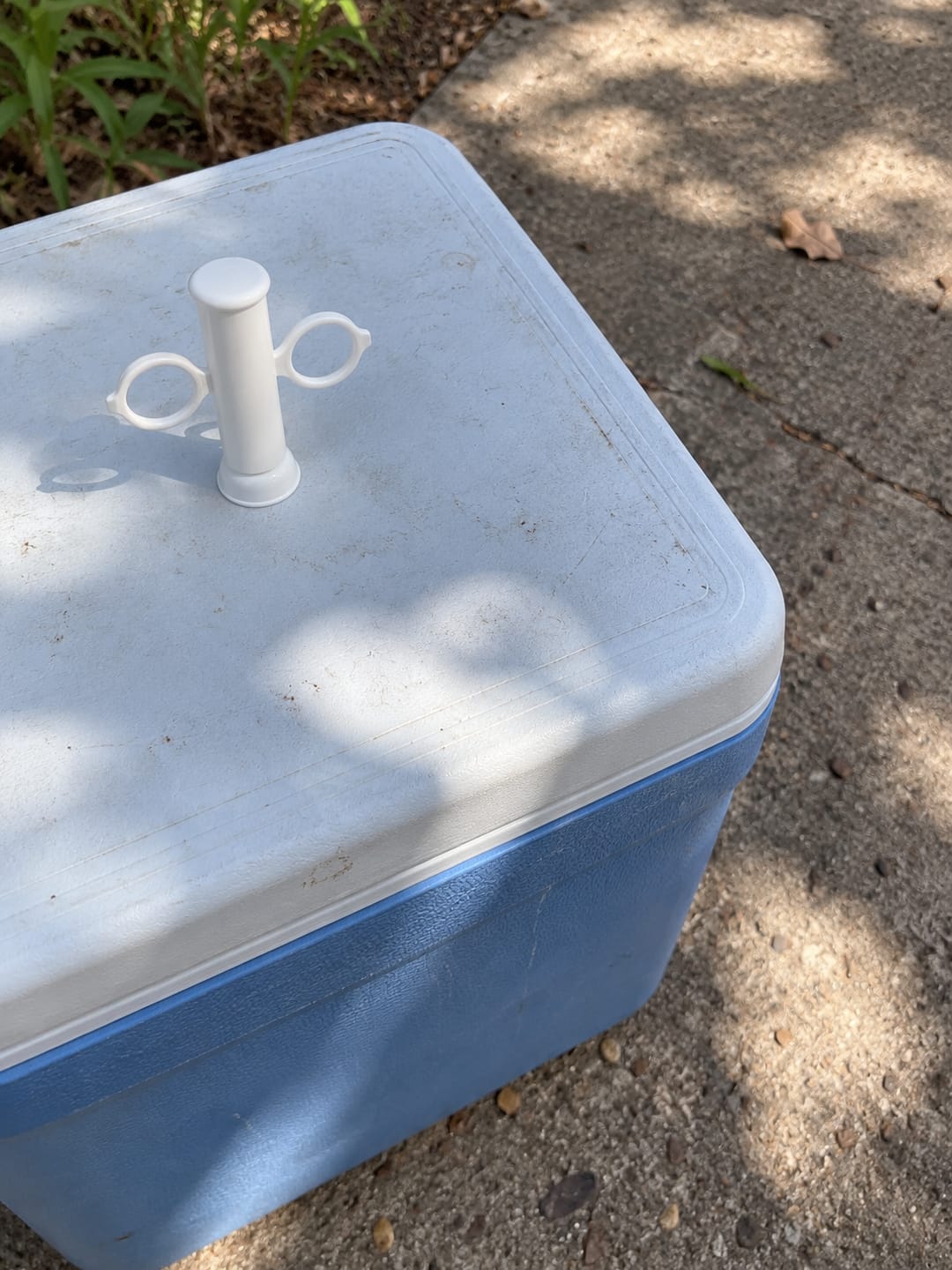 Customer photo review of Succionador manual para picaduras de insectos