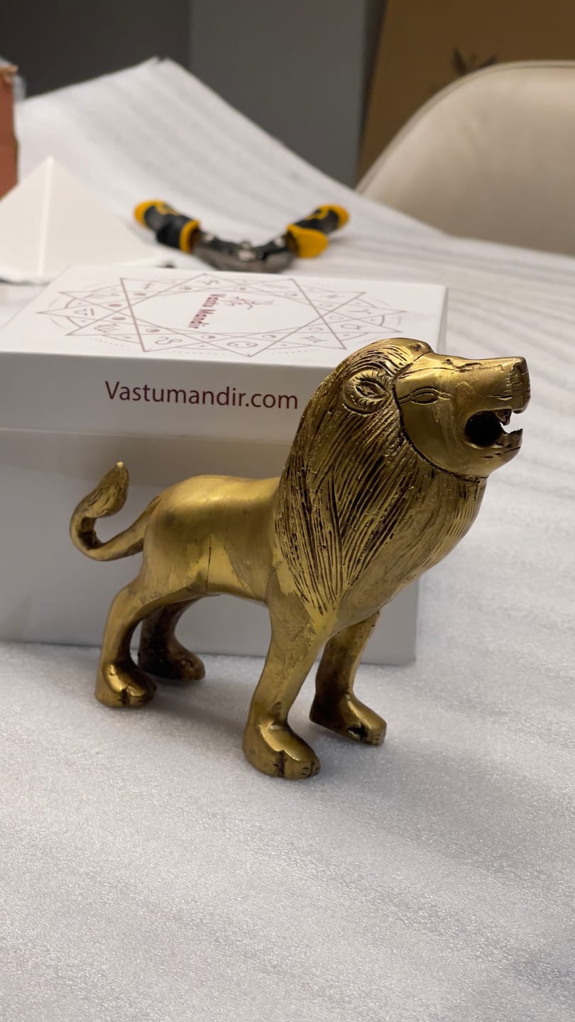 Customer photo review of Handcrafted Solid Brass Lion Vastu Idol | Vastu Remedy for South Direction Protection & Courage Energy for Main Entrances | 16×6×14 cm | 985g