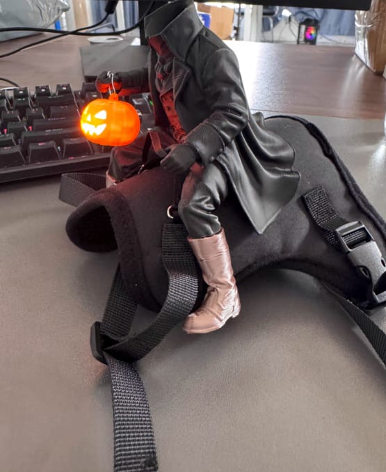 Customer photo review of Headless Horseman Pet Costume