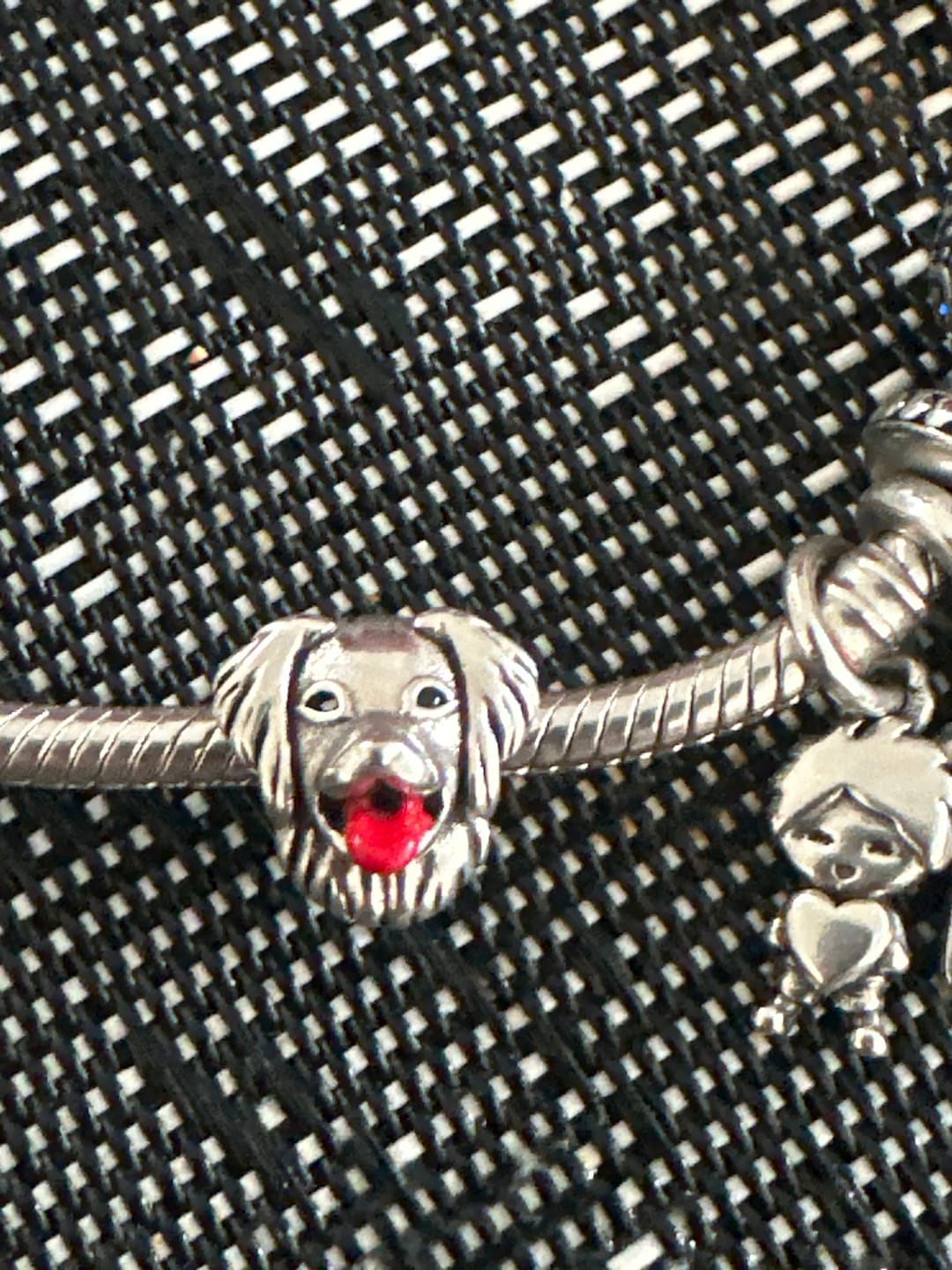 Customer photo review of Perrito Labrador