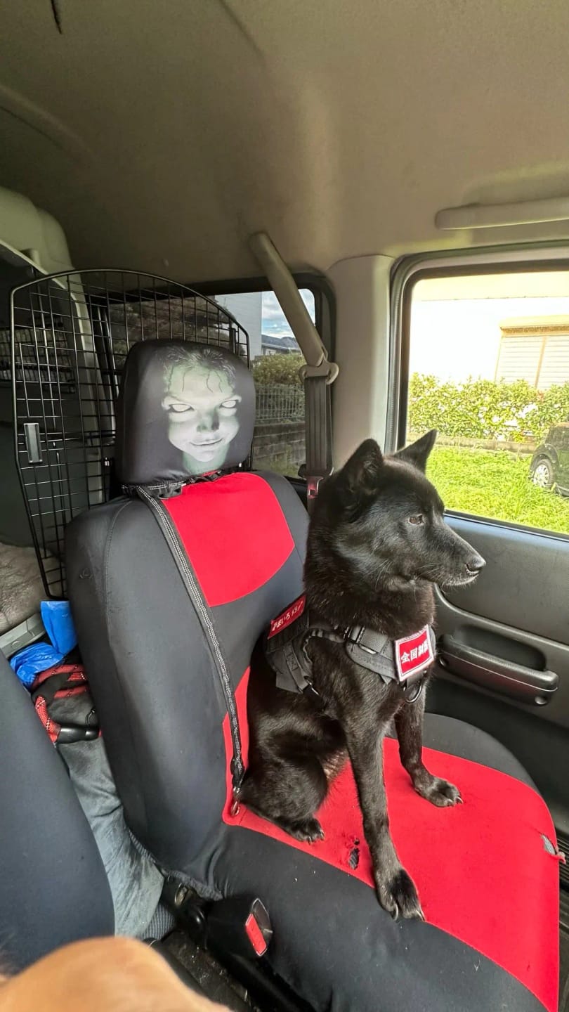 Customer photo review of SpookSeat™ Spooky Car Headrest Covers