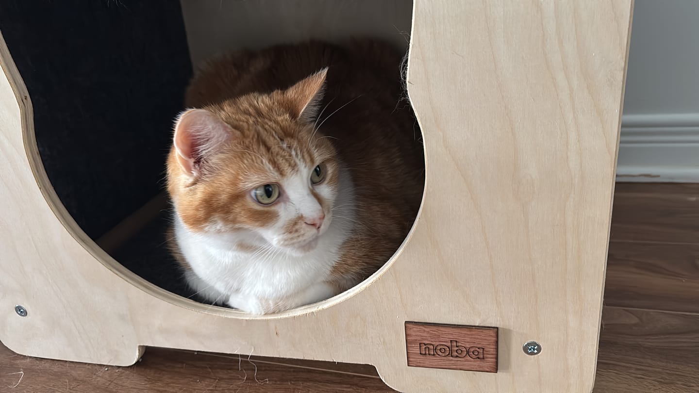 Customer photo review of The Hut Scratchable Cat Hideout