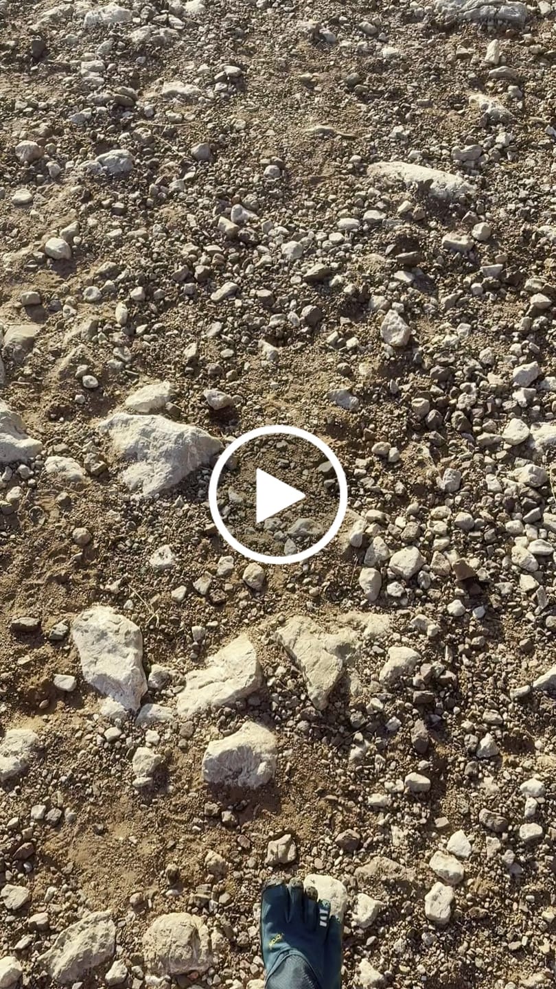 Customer video review of Trailope Womens Deep Lake
