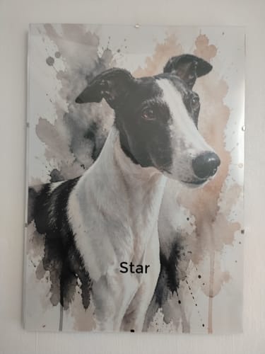 Customer photo review of Watercolour Realistic Portrait - Personalised Poster