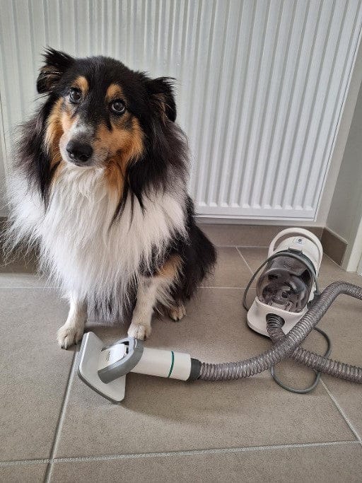 Customer photo review of Aspirateur à poils de chien - Kit toilettage complet 3 en 1