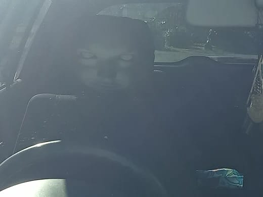 Customer photo review of SpookSeat™ Spooky Car Headrest Covers