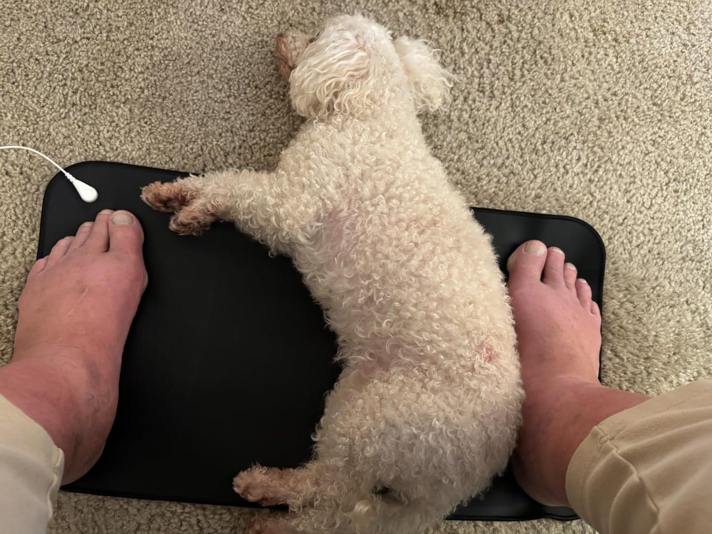 Customer photo review of LUMYHEALTH Grounding Mat