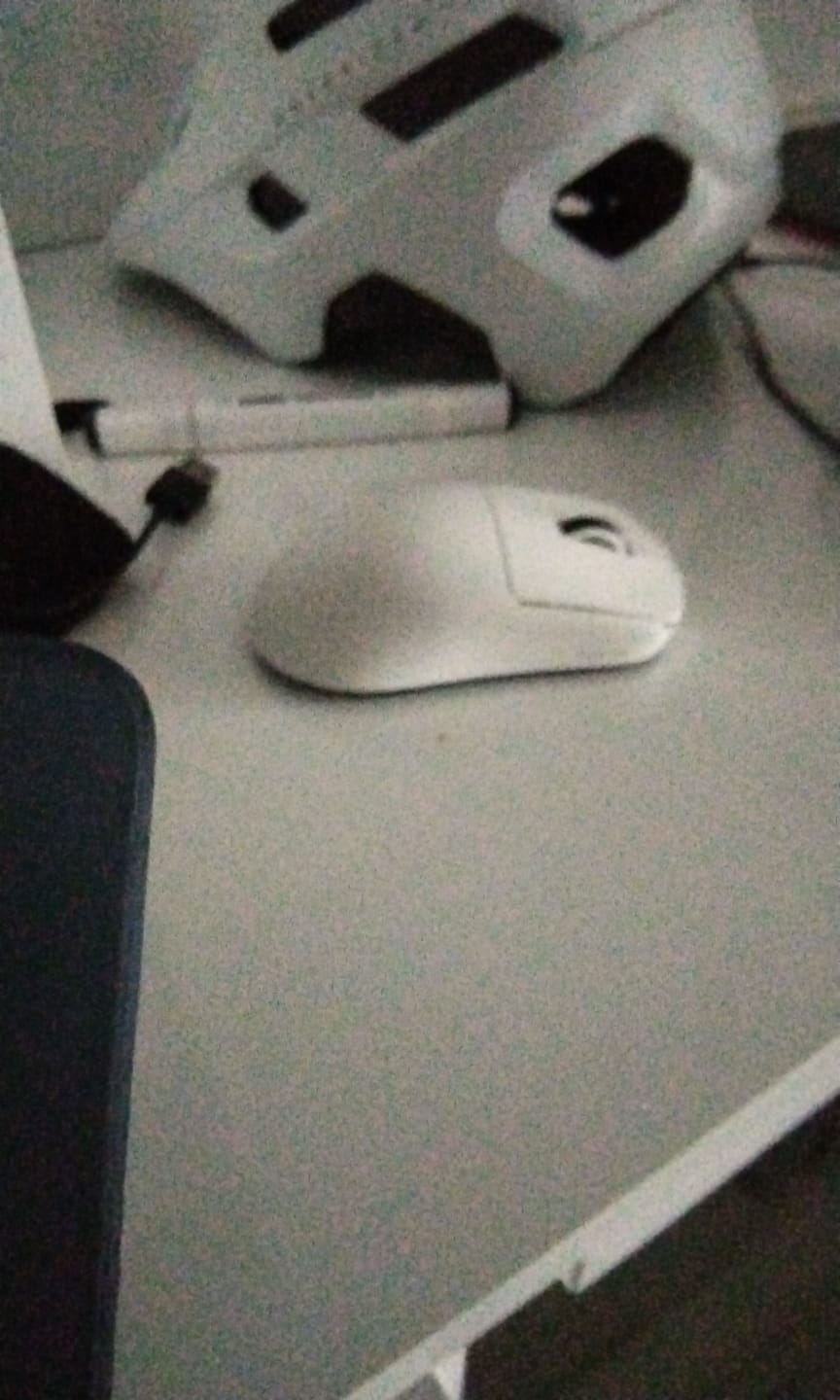 Customer photo review of VXE Dragonfly R1 Wireless Mouse