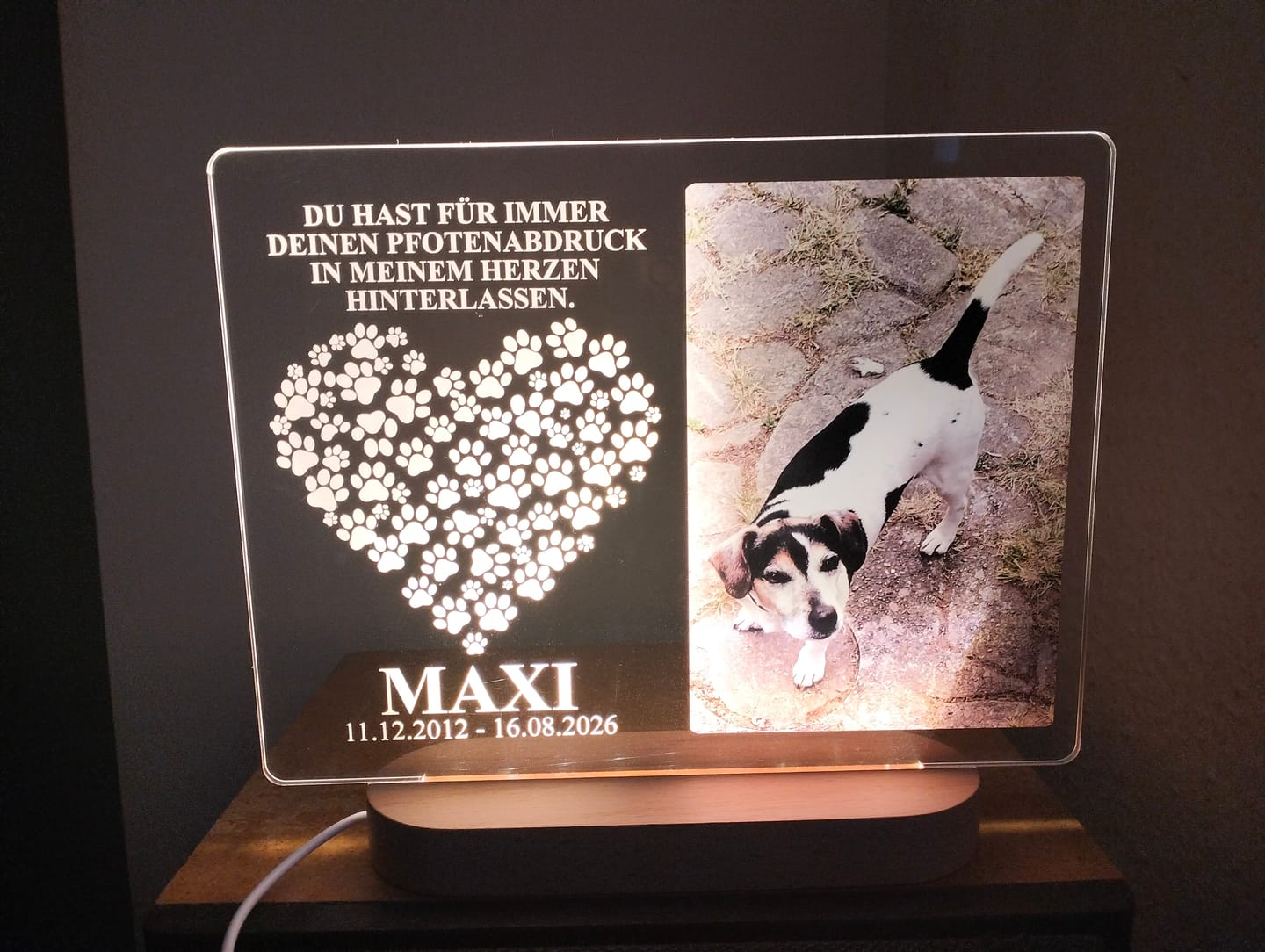 Customer photo review of Fotolampe von deinem Hund oder deiner Katze