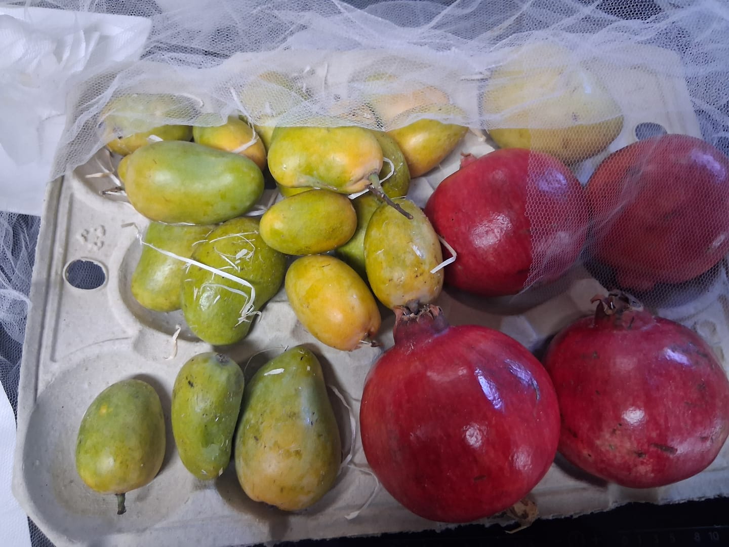 Customer photo review of Baby Zuckermango Ataulfo Bio von Julian