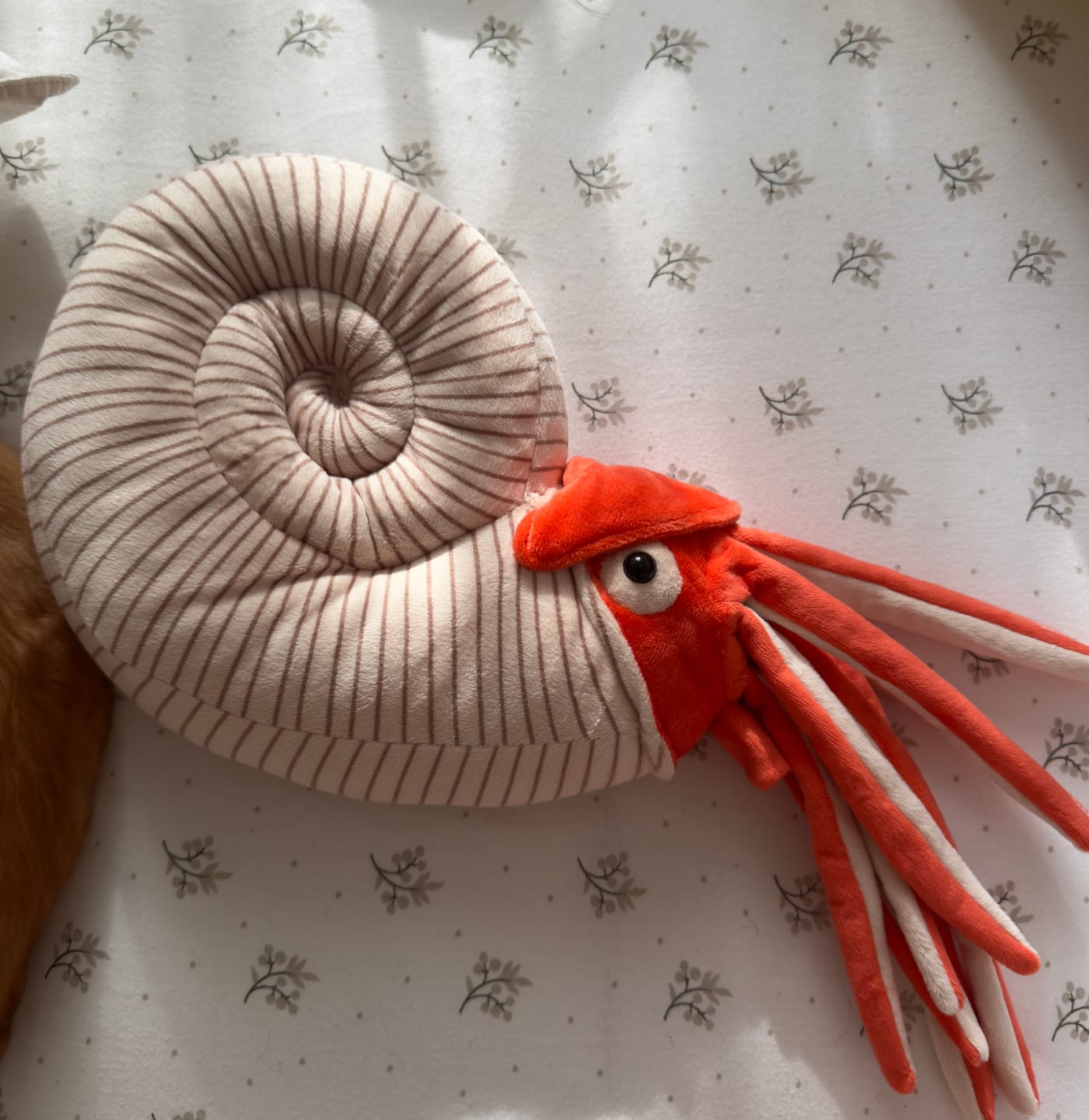Customer photo review of Ammonite Soft Stuffed Plush Toy
