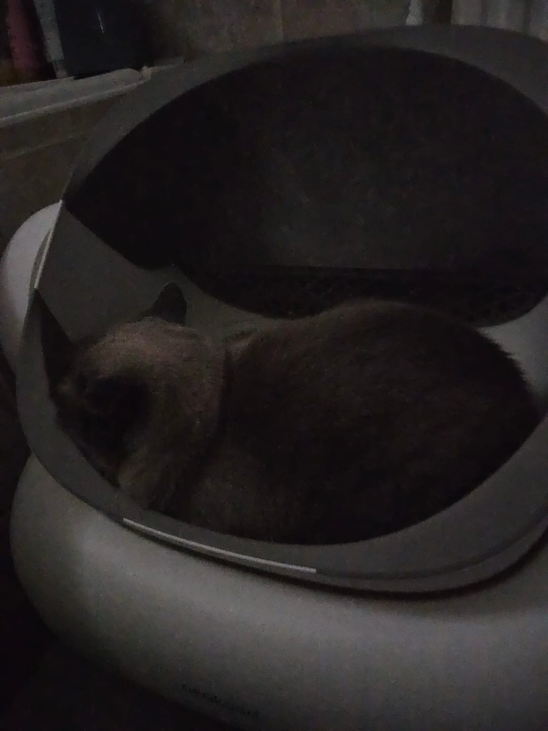 Customer photo review of Neakasa M1 Lite Plus Open-Top Self-Cleaning Cat Litter Box