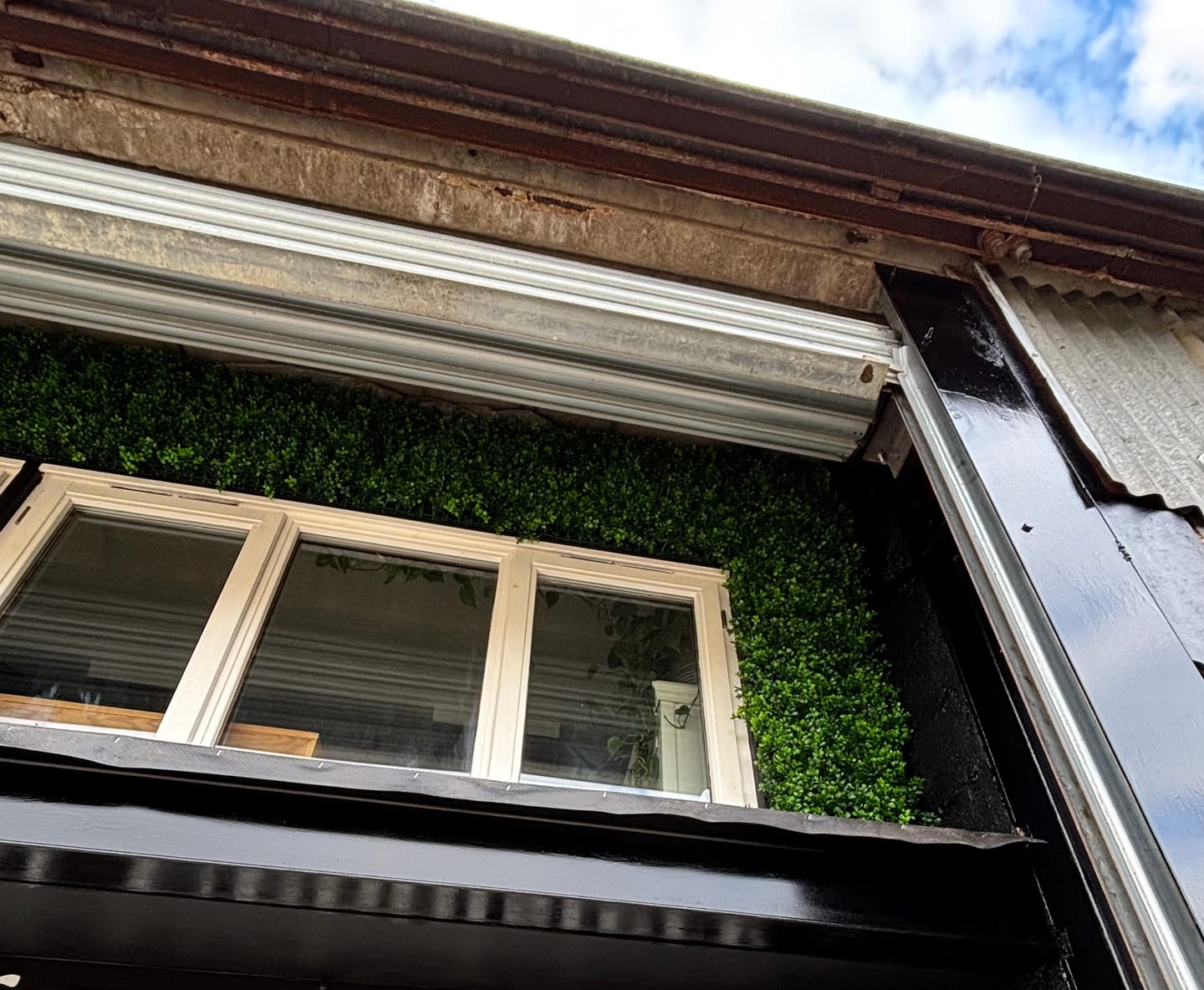 Customer photo review of Green Wall Hedge with Small Leaf Foliage (Pack of 4) 50cm x 50cm - A1135