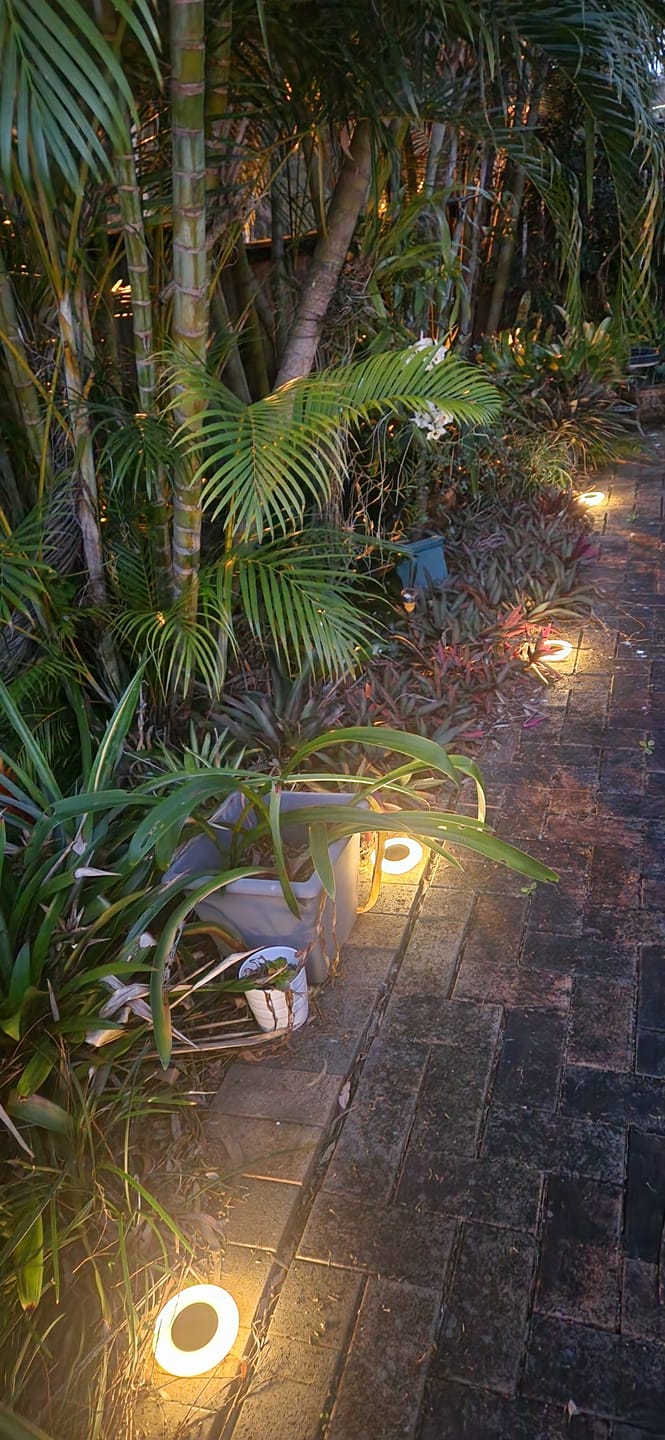 Customer photo review of GardenBrite™ Rust-Proof Solar Ground Light Pack