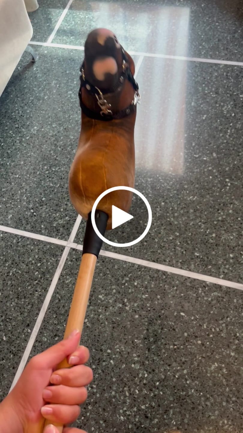 Customer video review of Hobby Horse based on your photo