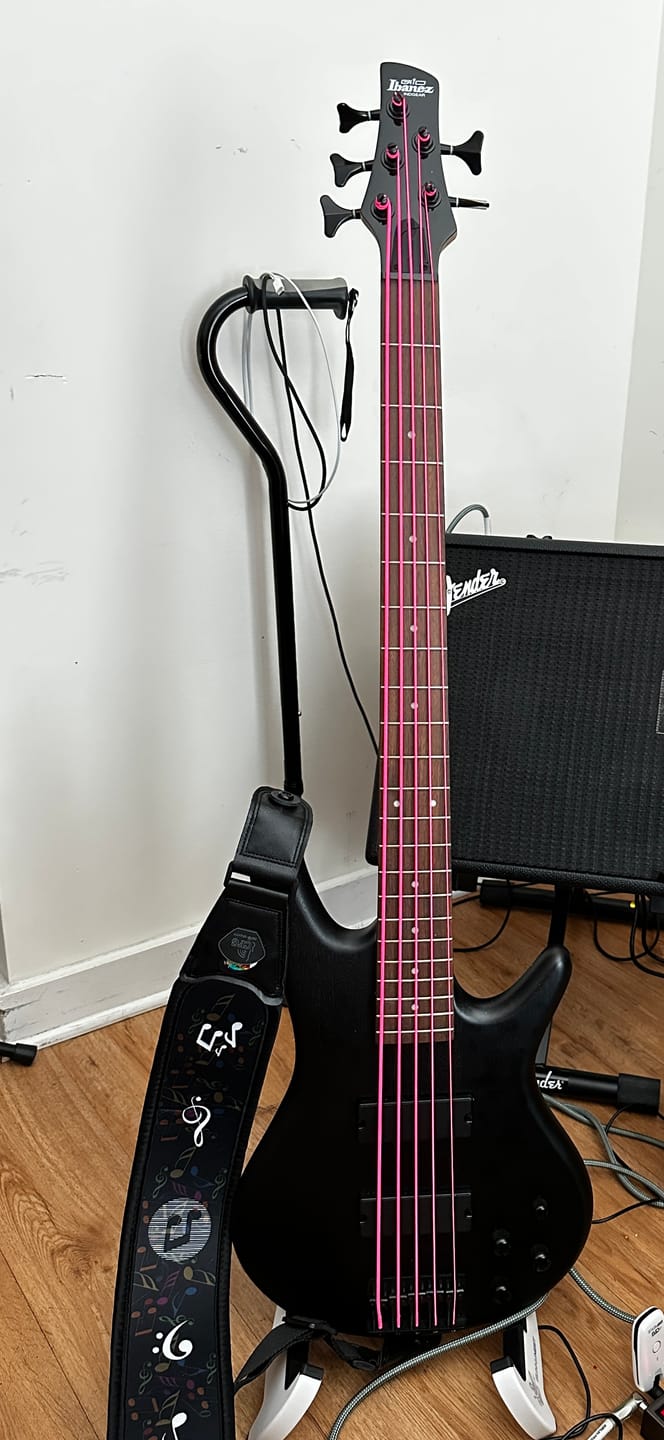 Customer photo review of BunnyNest: Folding A-Frame Guitar & String Instrument Stand