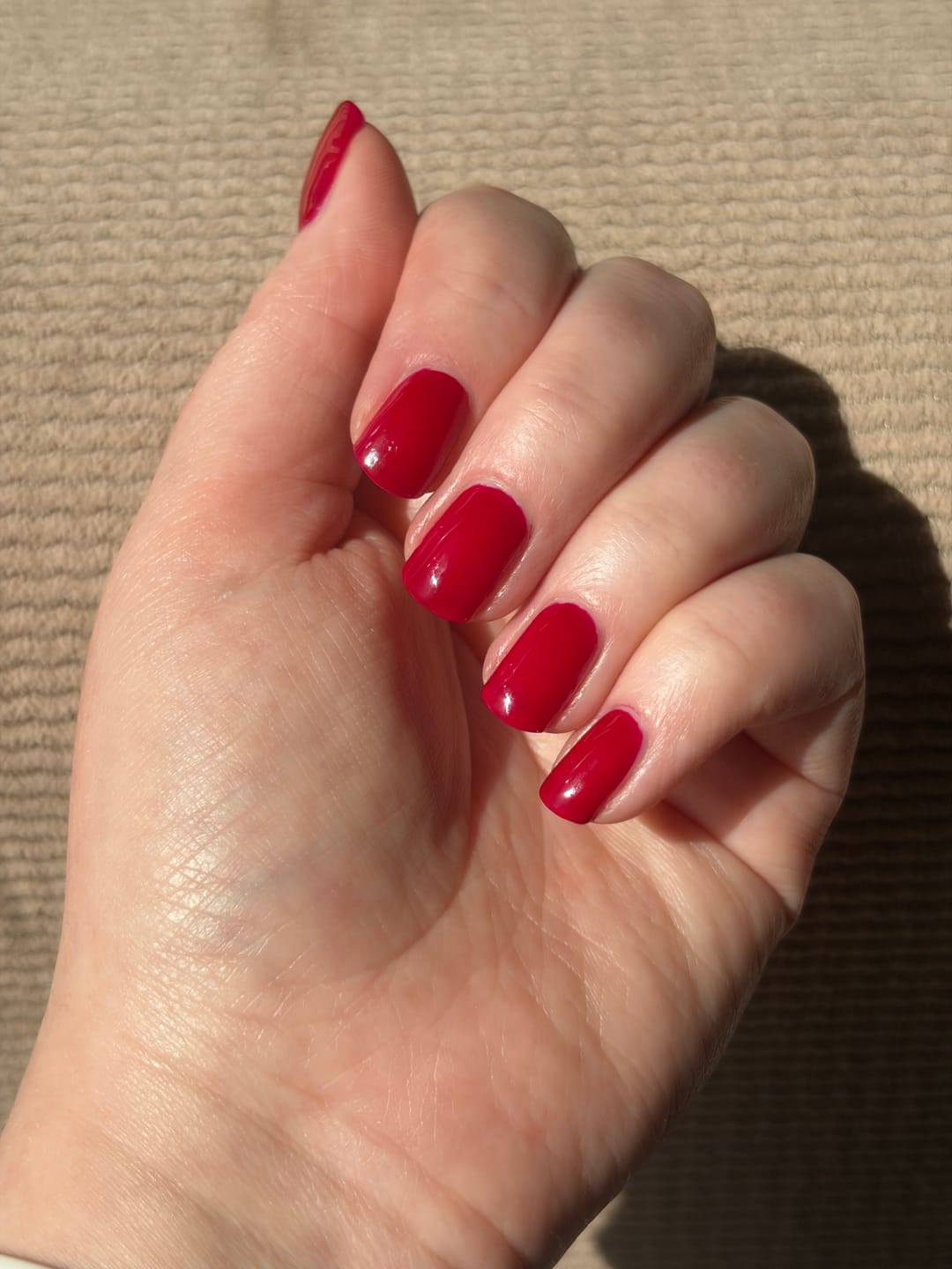 Customer photo review of Bloodbelly Jelly