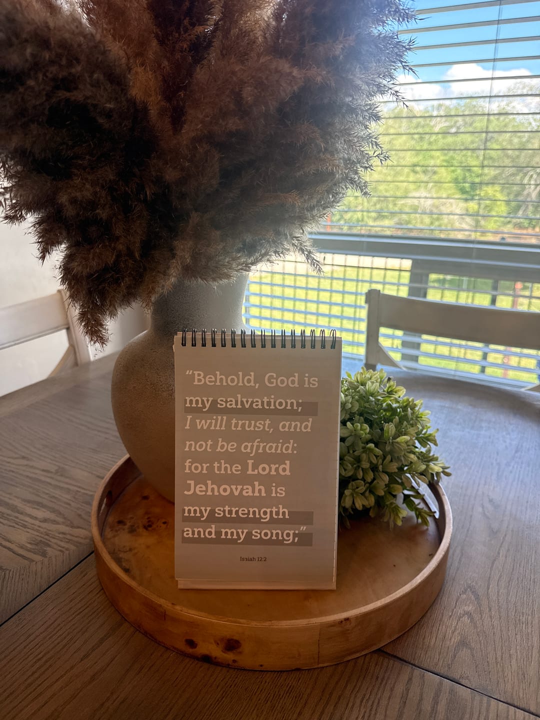 Customer photo review of Essential Conversations Flipbook for Families from the New Testament 2027 | Aligned with Come, Follow Me