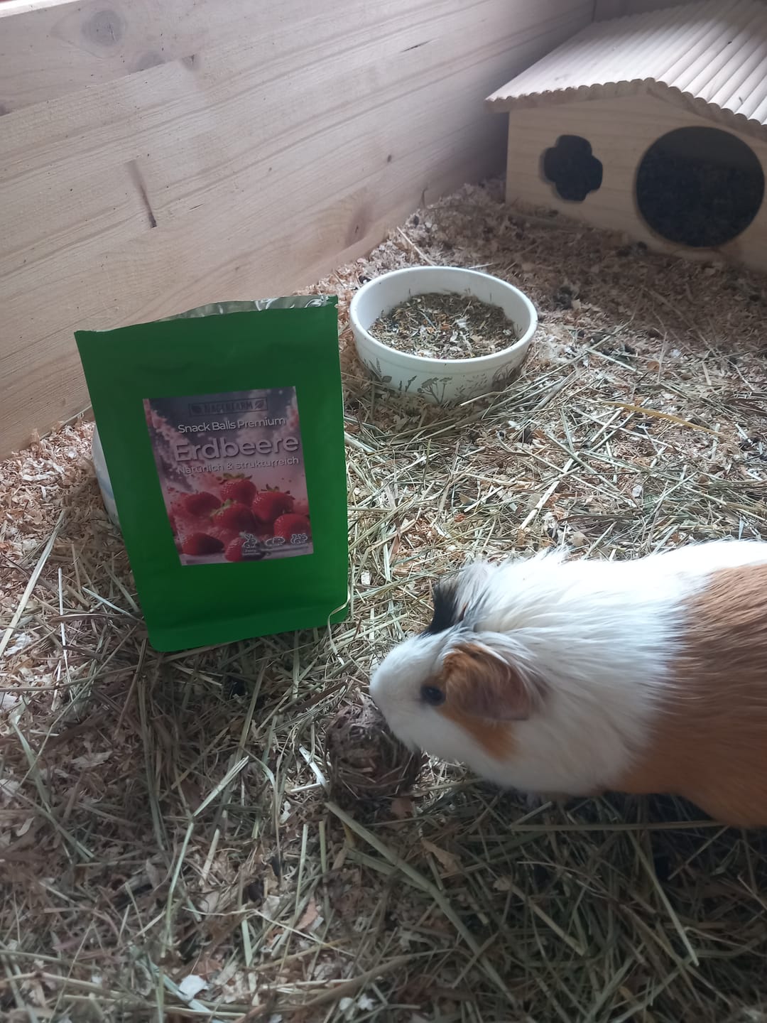 Customer photo review of 🍓Snack Balls Premium Erdbeere – Heu-Snack für Meerschweinchen
