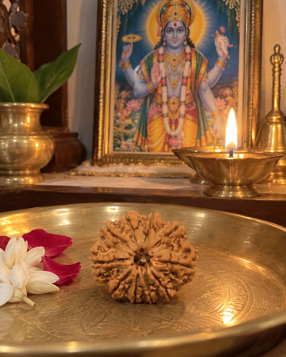 Customer photo review of 10 Mukhi Rudraksha (Nepali)