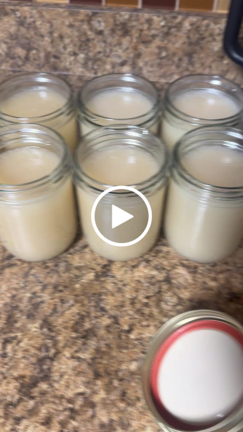 Customer video review of $16 lb Sea Moss from the pristine waters of St. Lucia- wildcrafted
