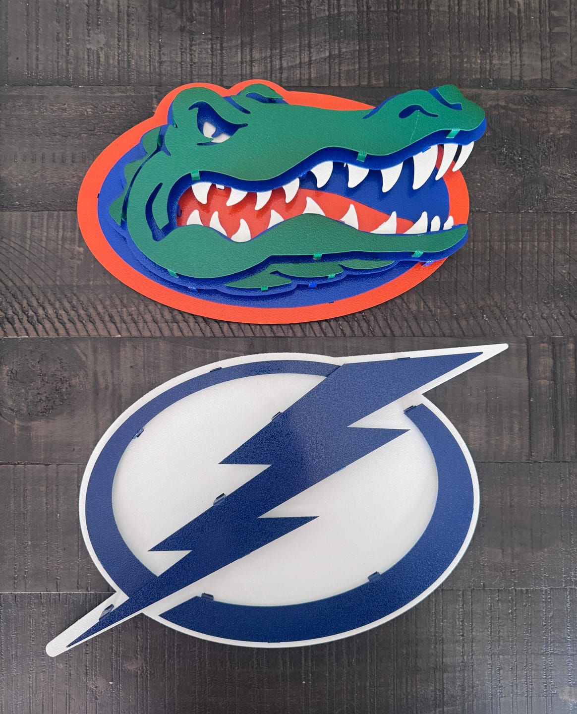 Customer photo review of Florida Gators "GATOR HEAD"  3D Vintage Metal Wall Art