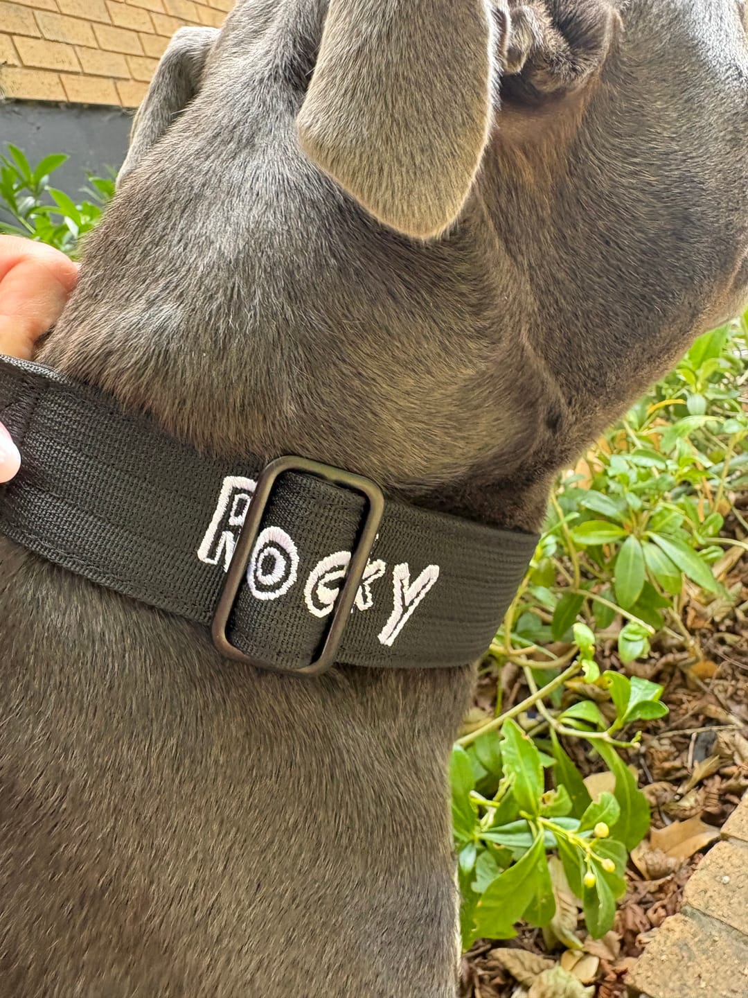 Customer photo review of Personalisation Fee £7.99