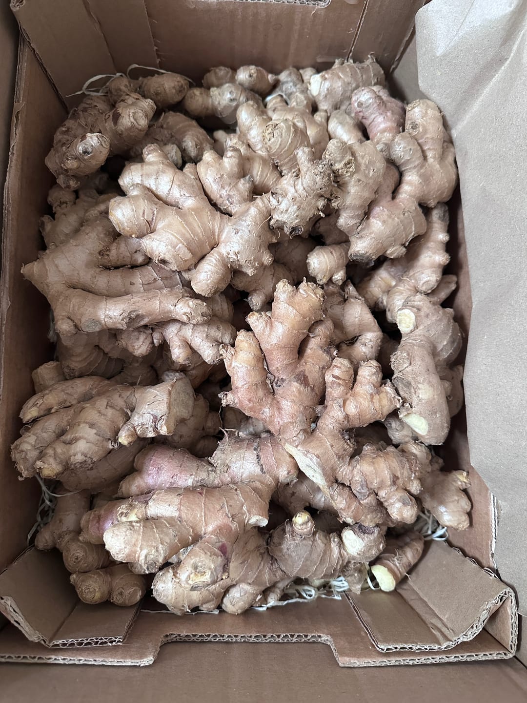 Customer photo review of Ingwer Bio aus Peru mit Schale verwertbar!