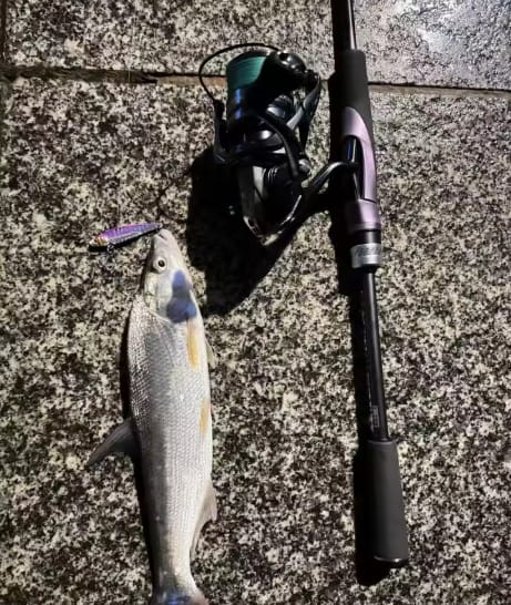 Customer photo review of Calendario de Adviento de Pesca