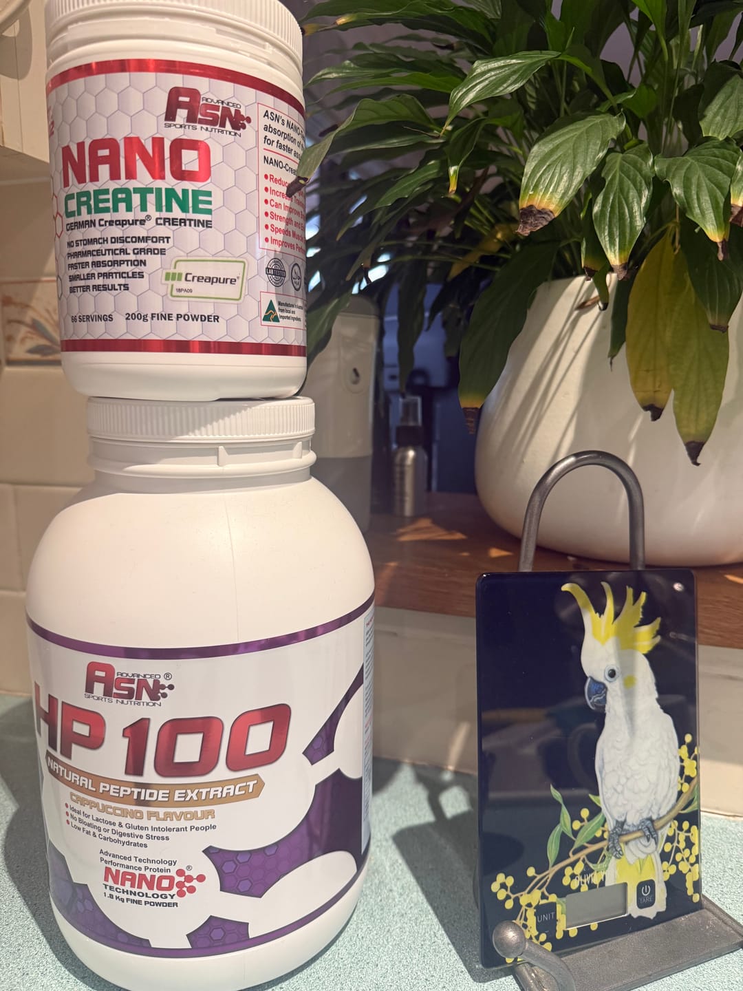 Customer photo review of Ladies Dream Protein for Health & Fitness Goals