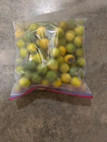 Customer photo review of Organic Key Limes 3 lbs