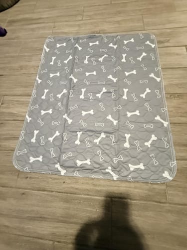 Customer photo review of SniffPad Almohadilla con Feromonas para Perros