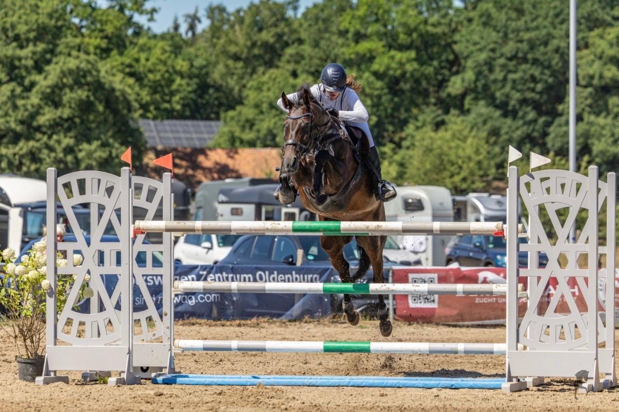 Customer photo review of TORPOL® Schabracke EVO Magnetfeld Nelson™ Spring/Dressur