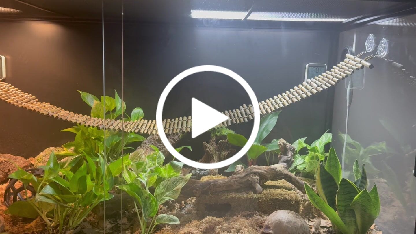 Customer video review of 48'' Spacer Cabinet For 120/85 Gallon Reptile Enclosures