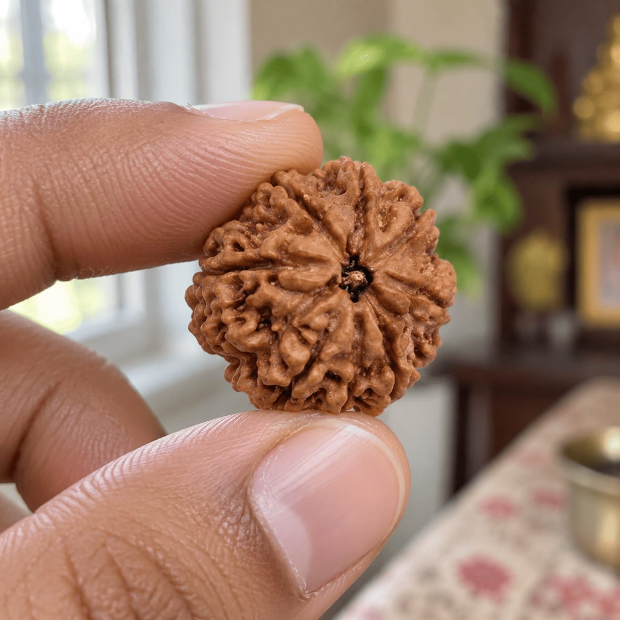 Customer photo review of 9 Mukhi Rudraksha (Nepali)