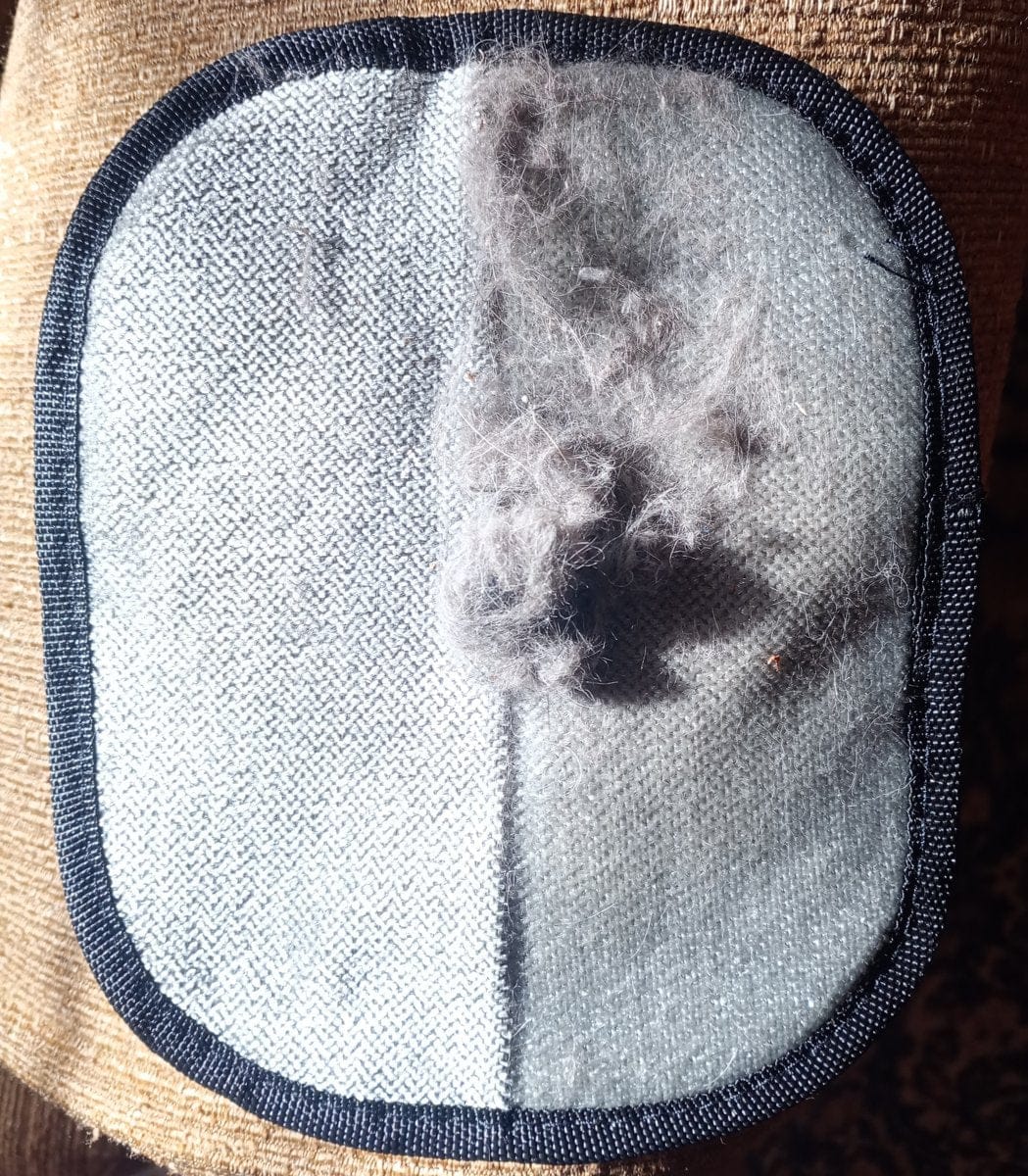 Customer photo review of Gant Anti-Poils Aquelie™ — Un intérieur propre et sans poils en quelques secondes