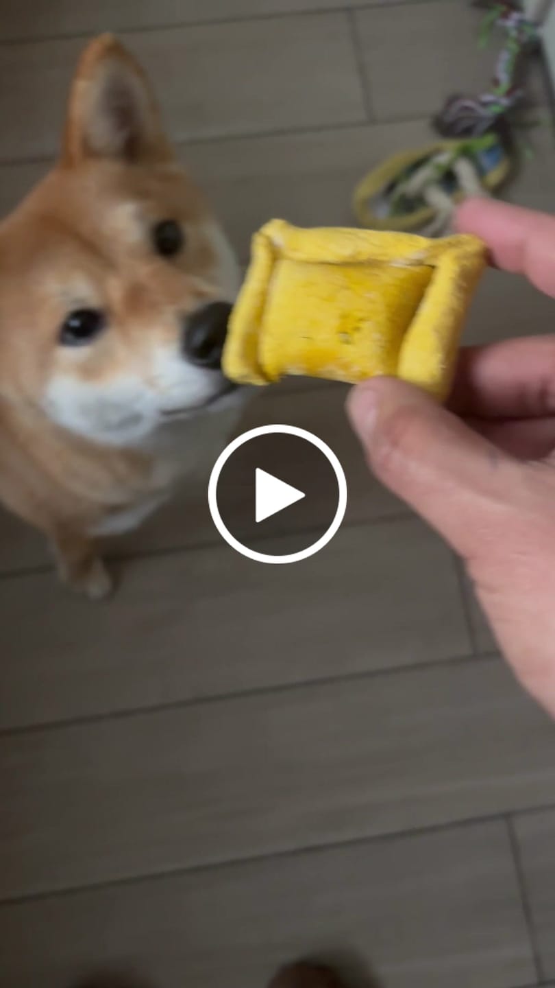 Customer video review of Pack Dieciochero Perruno