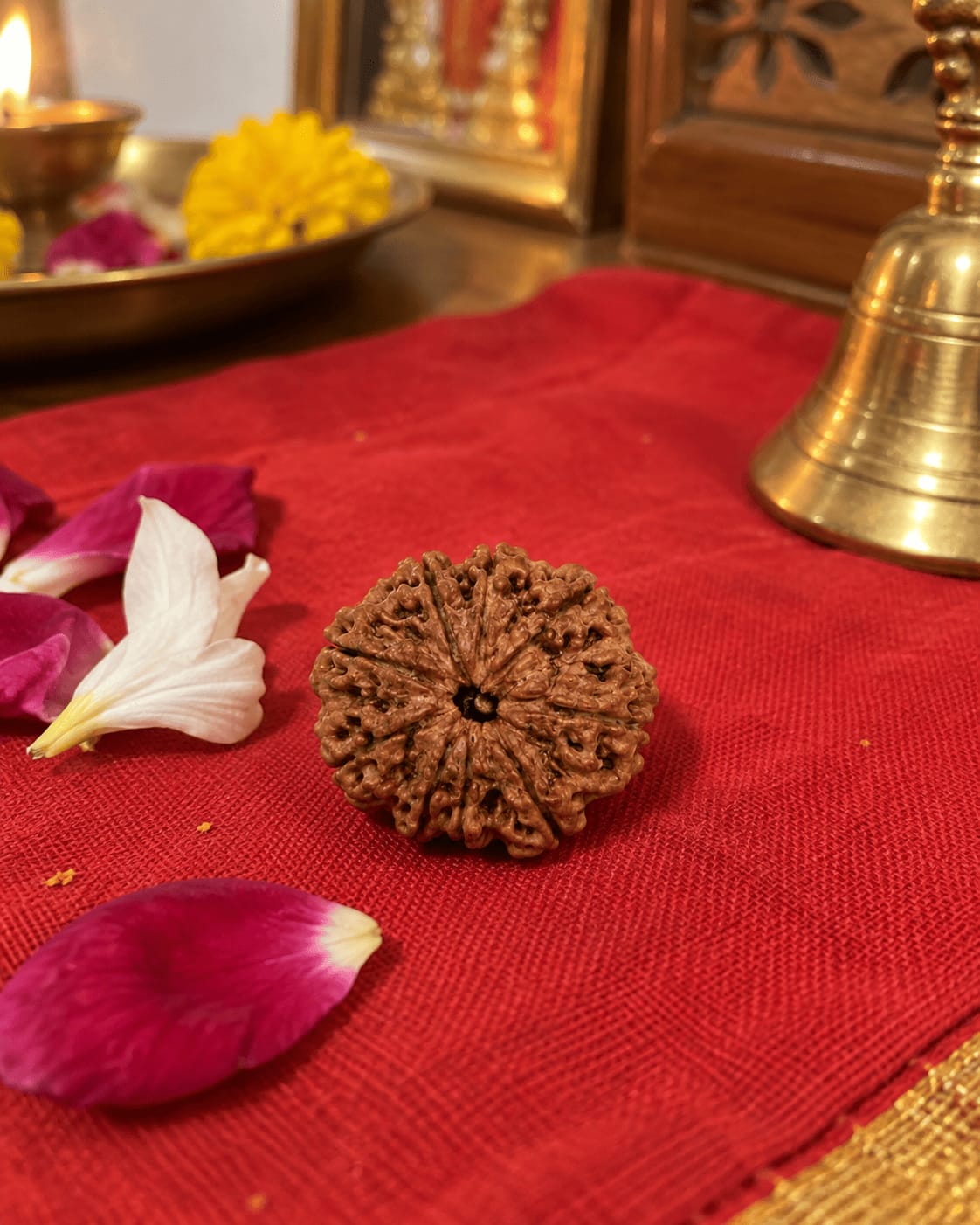 Customer photo review of 9 Mukhi Rudraksha (Nepali)