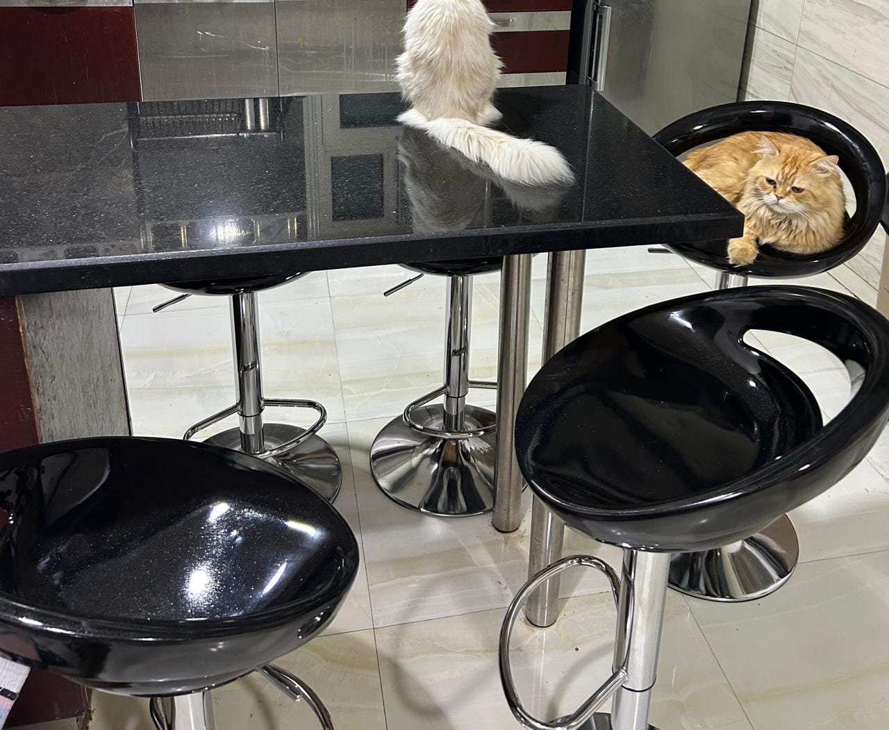 Customer photo review of توري كرسي بار هيدروليك  -  اسود