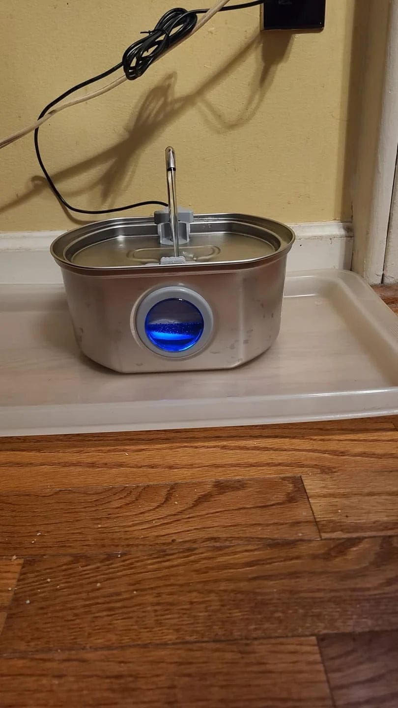 Customer photo review of Purecat Bron UV 4 L