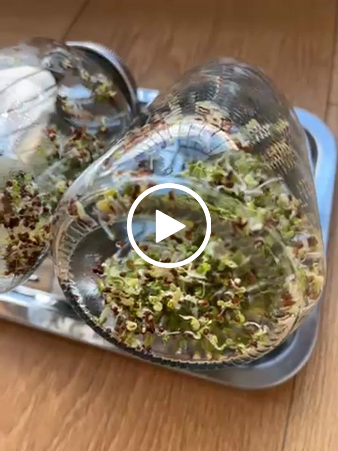 Customer video review of Brokkoli Sprossen Bio 250g