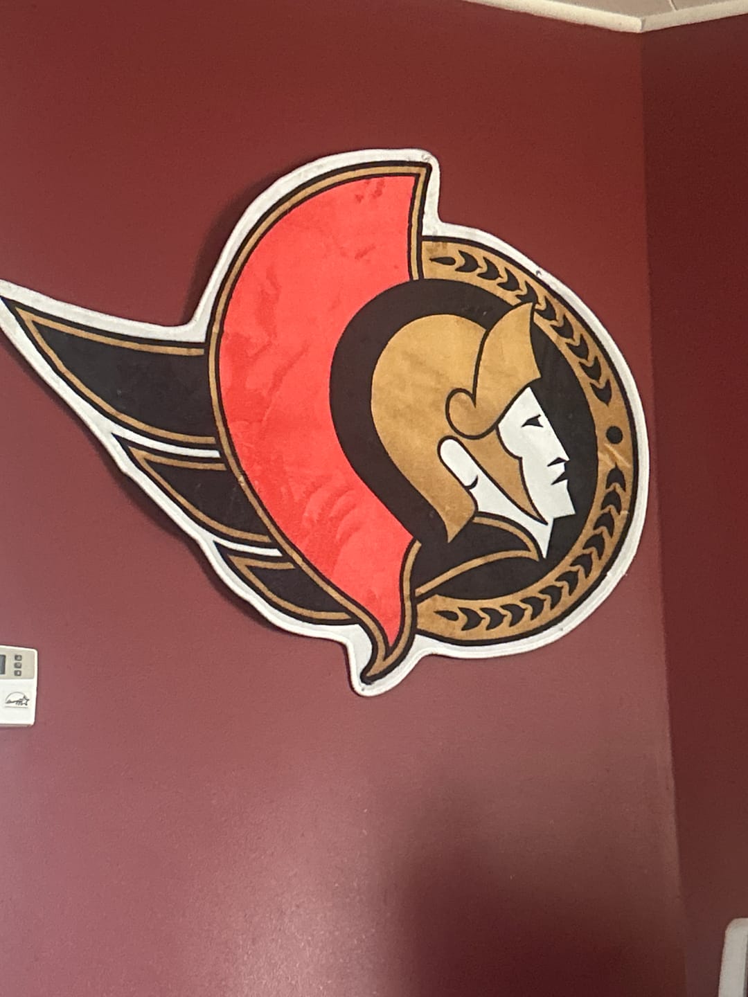 Customer photo review of Ottawa Senators Logo Rug