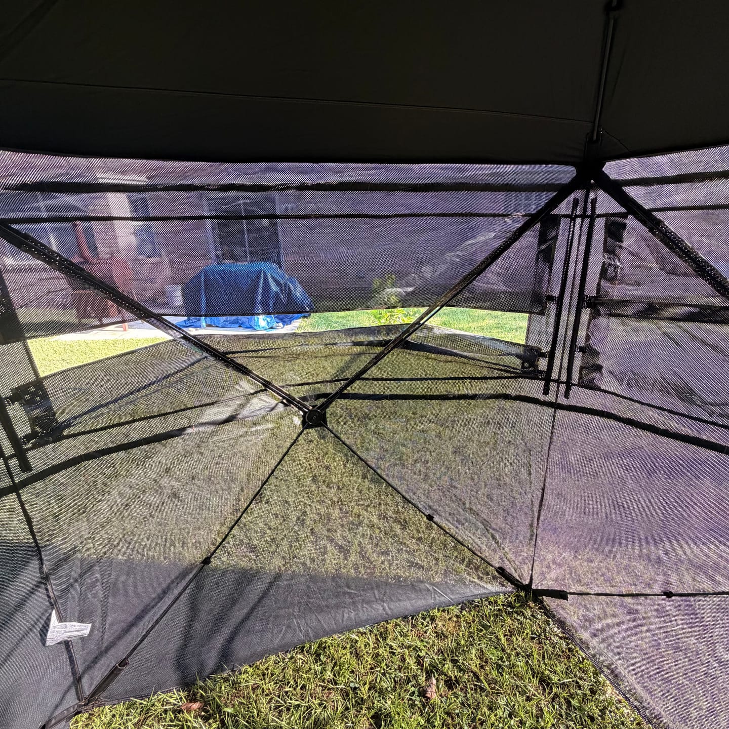 Customer photo review of VisMax See Through Blind | 270° Pop Up 3-4 Man Deer Blind | Portable Ground Blind Hunting for Sale with Hunters Comfort Design
